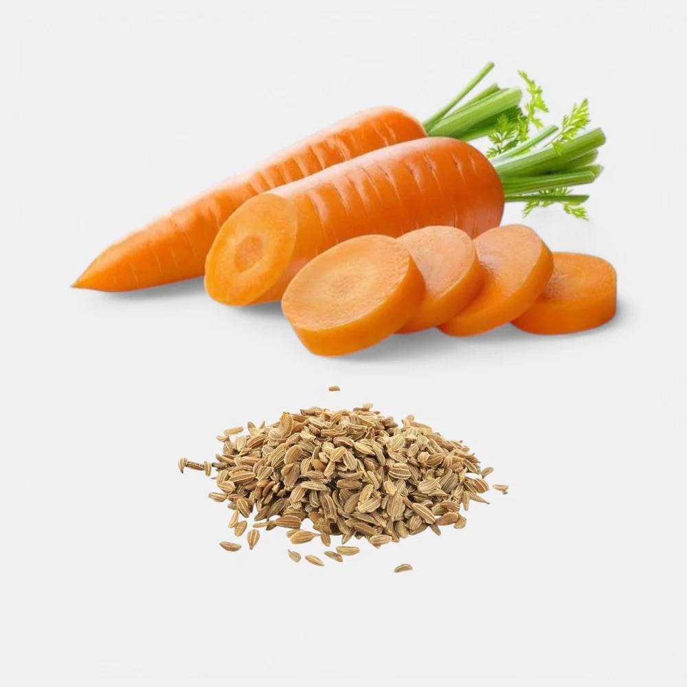 10g Carrot Seeds