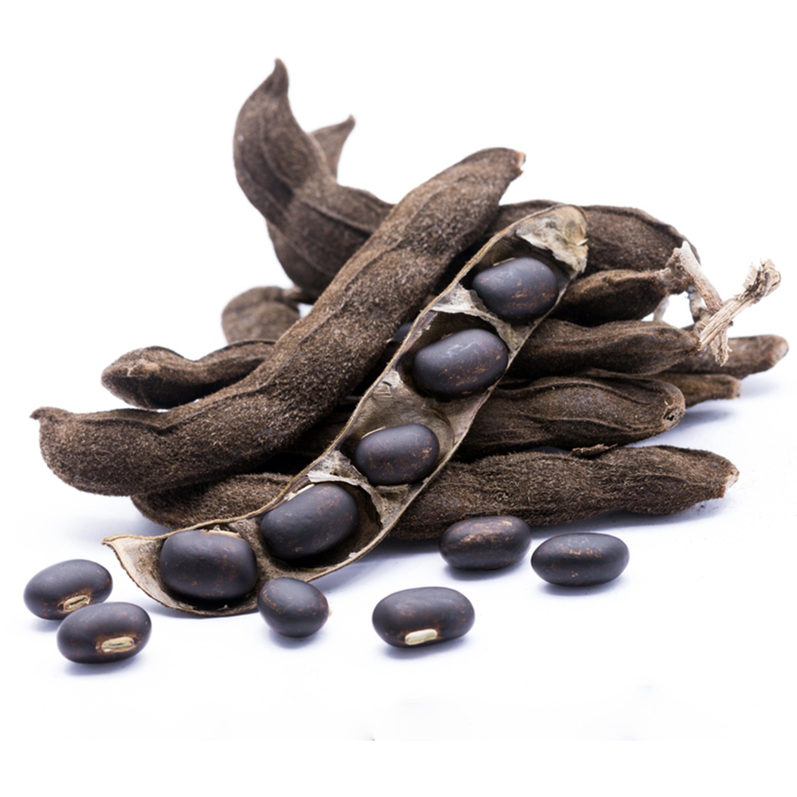 Mucuna agroforestry seeds (Mucuna pruriens utilis)